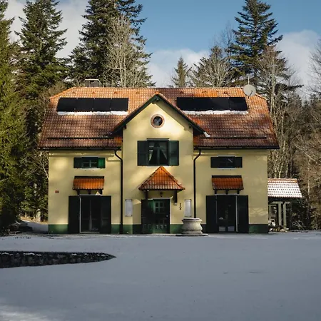 Gozdarska Hisa Debeli Kamen Vila *